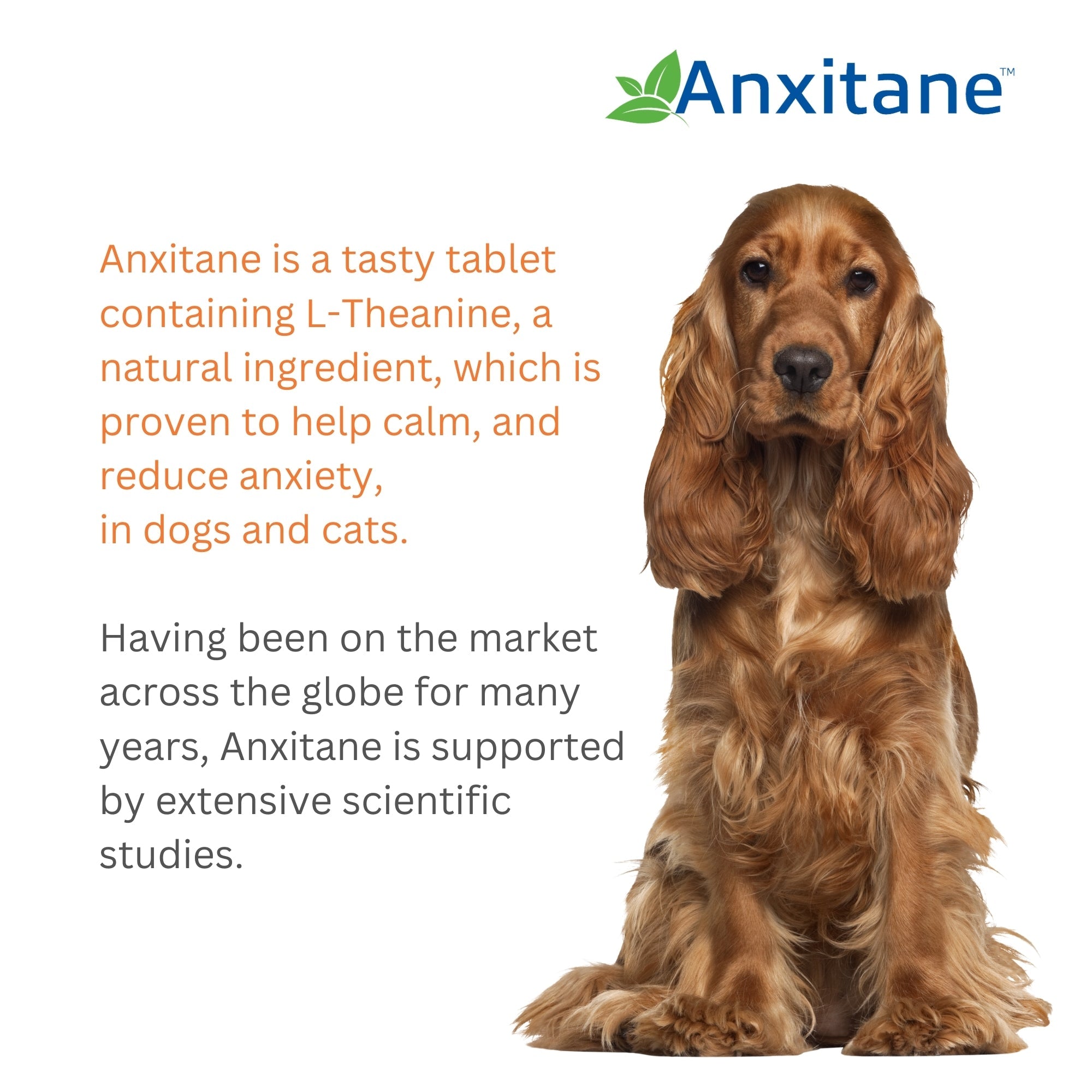 Anxitane Chewable Tablets For Dogs & Cats - 30 Pack
