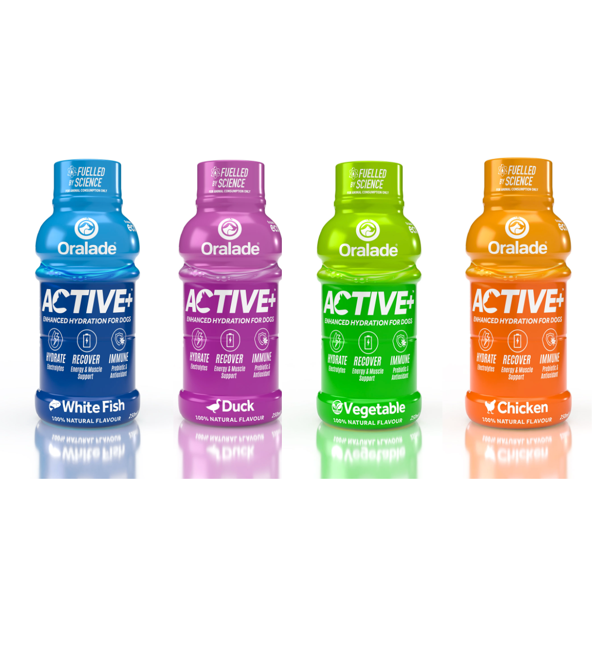 Oralade Active Isotonic Re-Hydration Fluid For Dogs 250ml